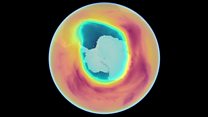 A year in ozone over the South Pole