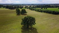 Algorithm learns to recognise natural beauty