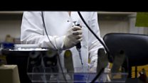 ما معنى Gene Editing؟