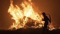 Firefighters try to dampen Corsica flames