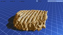 Cave re-opened with 'new' fossils