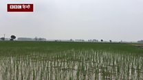 ऐसा गांव जो बाढ़ में 'भारत का नहीं' रहता