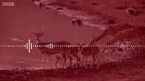 ව්යාජ පුවත්: 'Share කරන්න කලින් සිතන්න'