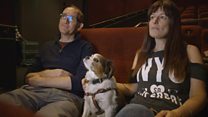 Watch: Dogs + Movies. The pawfect night out?