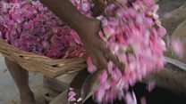 خوشبو بنانے کی صدیوں قدیم صنعت خطرے میں