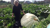 Woman enters 76 categories in flower show