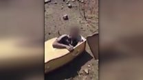 SA farmers 'sadistic and racist' - judge