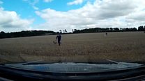 Hare coursing suspects caught red-handed