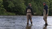 Fèis Bhradan