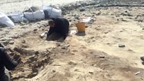 Neolithic dig unearths whale pits