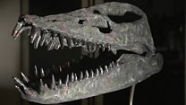 3D printing brings dinosaur fossils 'to life'.