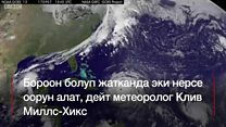 "Ирма" эмнеге деңиз суусун тартып кетти?