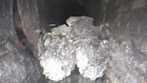 The 'monster' fatberg in London's sewers