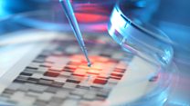 ما معنى life sciences؟
