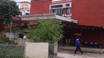 ‘एडिज् एजिप्टाइ’ लामखुट्टेबाट डेंगी सर्ने खतरा