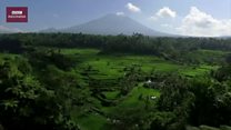 Pergi atau tinggal? Mereka yang hidup dekat Gunung Agung