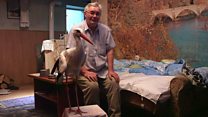 The man who adopted a stork