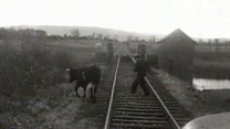 Archive: Train line in Fermanagh