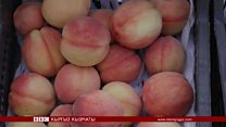Жасалма акылдын чарбада оорду эмне?