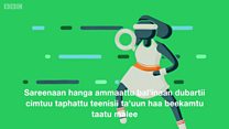 Ispoortii fi saala
