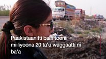 Hoji uumtuu umuriin xiqqoo Paakistaaniif abdii taate
