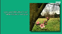 #شما؛ "نمیگذارم سرطان بهارم را خاکستری کند"