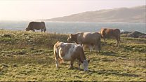 Atharrachaidhean a dhìth a thaobh ceannach fearainn