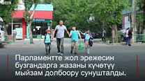 Жол кырсыгын азайтуу убайымы