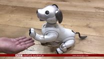 "Айбо" атту акылдуу робот күчүк