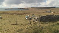 Se am Bile ùr an cothrom mu dheireadh gus croitearachd a shàbhaladh