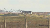 Strì a' leantainn son àireamh nan geadh a' lùghdachadh