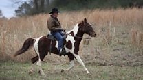 Roy Moore's skittish escape on horseback