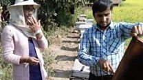 माहुरी कृषकको सामुहिक सफलता