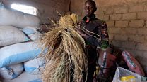 Sénégal: des ex-migrants devenus agriculteurs