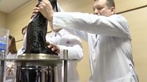 "Рогозин мучает собак": что за эксперимент показал вице-премьер