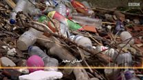 #شما؛ "ذرات پلاستیک وارد چرخه غذایی ما شدهاند"