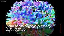 သိပ္ပံ တိုးတက်မှုတွေ မြင်ရမယ့် ၂၀၁၈