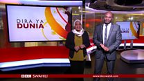 Matangazo ya Dira ya Dunia TV