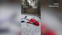 Rare snow brings joy to 'Sunshine State'