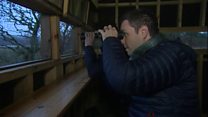 Ceisio 'sicrhau dyfodol' gwyddau prin