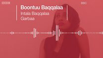 Haqa dhabuun hiree hidhamtoota Oromoo ta'eera