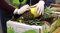 Pineapple cocaine ring