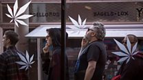 ما معنى عبارة legalised cannabis؟