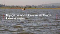 Wari uzi ko ivyatsi bishobora kubangamira ikiyaga kigapfa?