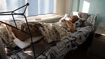 Чек арада ок жеген жаран Өзбекстанга өтпөгөнүн айтууда
