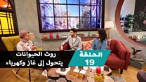 روث الحيوانات يتحول إلى غاز وكهرباء.