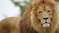 Saurari yadda matar Mustafa ta rabu da shi kafin ya gamu da ajalinsa
