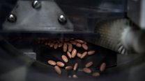 ما معنى عبارة Slow Medicine؟