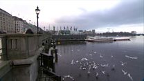 Fear à Inbhir Nis a dhìth am Hamburg
