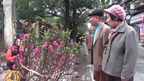 Mối tình Việt-Triều đậm sâu theo năm tháng